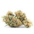 Durban Poison